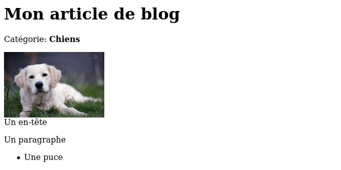 Blog post page French translation on the frontend