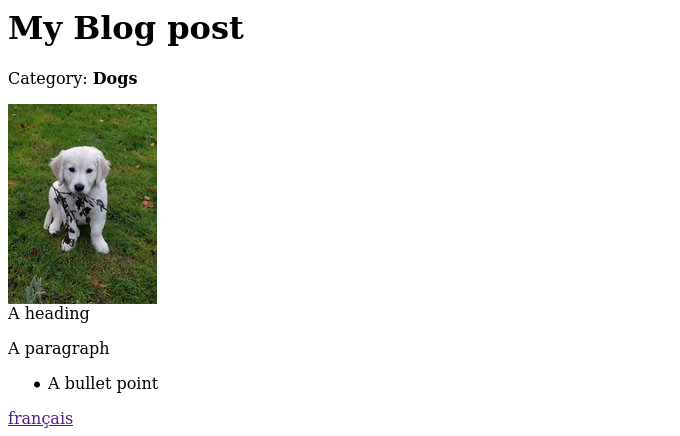 Blog post page on the frontend with link to french version