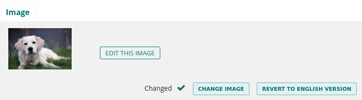 A overridden image